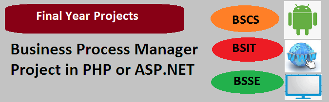 Business Process Manager Project in PHP or ASP.NET