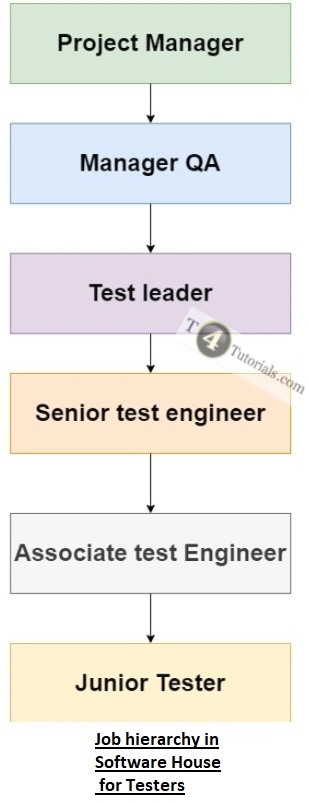 software testing job hierarchy