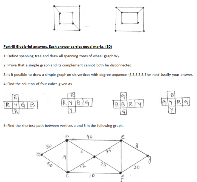 graph theory essay