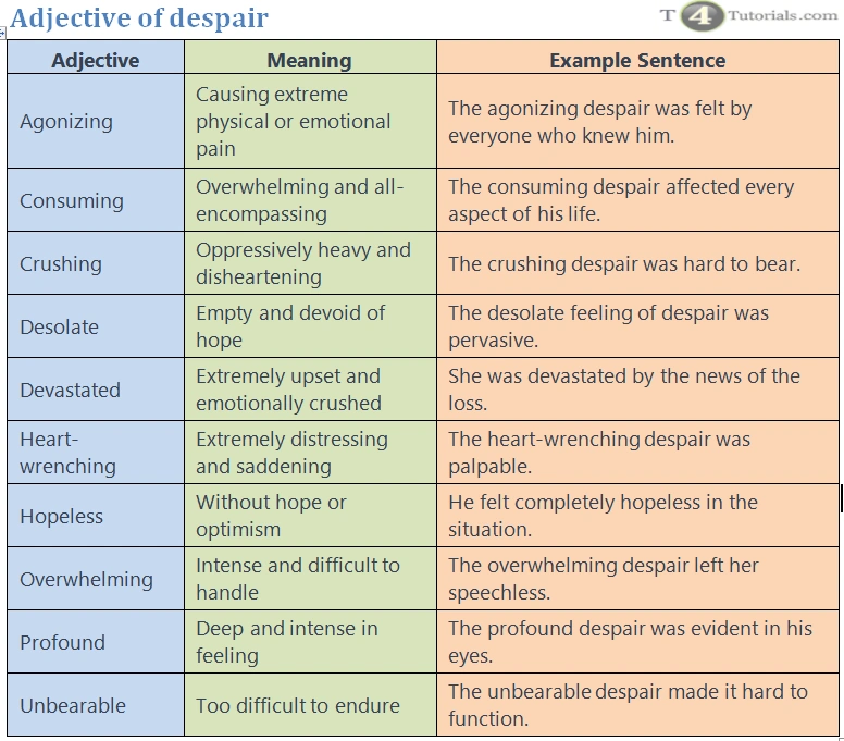 Adjective of despair | How to describe despair? | T4Tutorials.com