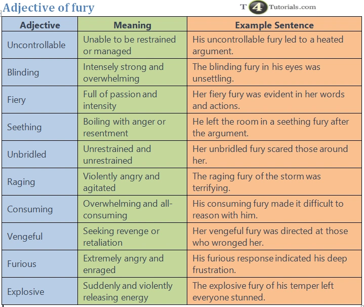 Adjective of fury – T4Tutorials.com