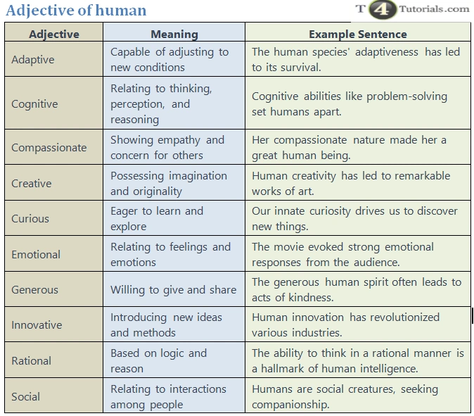 Adjective of human | T4Tutorials.com