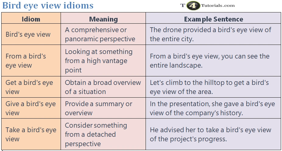 a bird's eye view idioms meaning