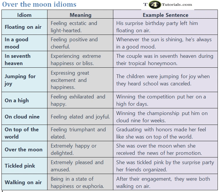 Over the moon idioms