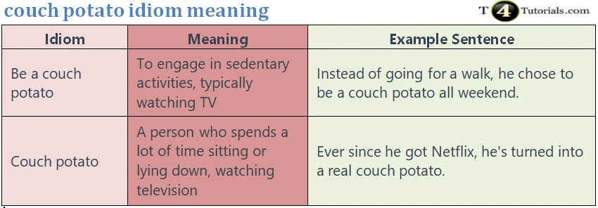 couch-potato-idiom-meaning-t4tutorials