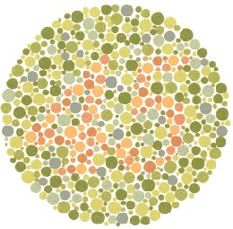 color blindness picture test