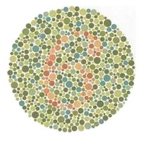 color blindness test for 6