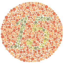 enchroma color blindness test 15